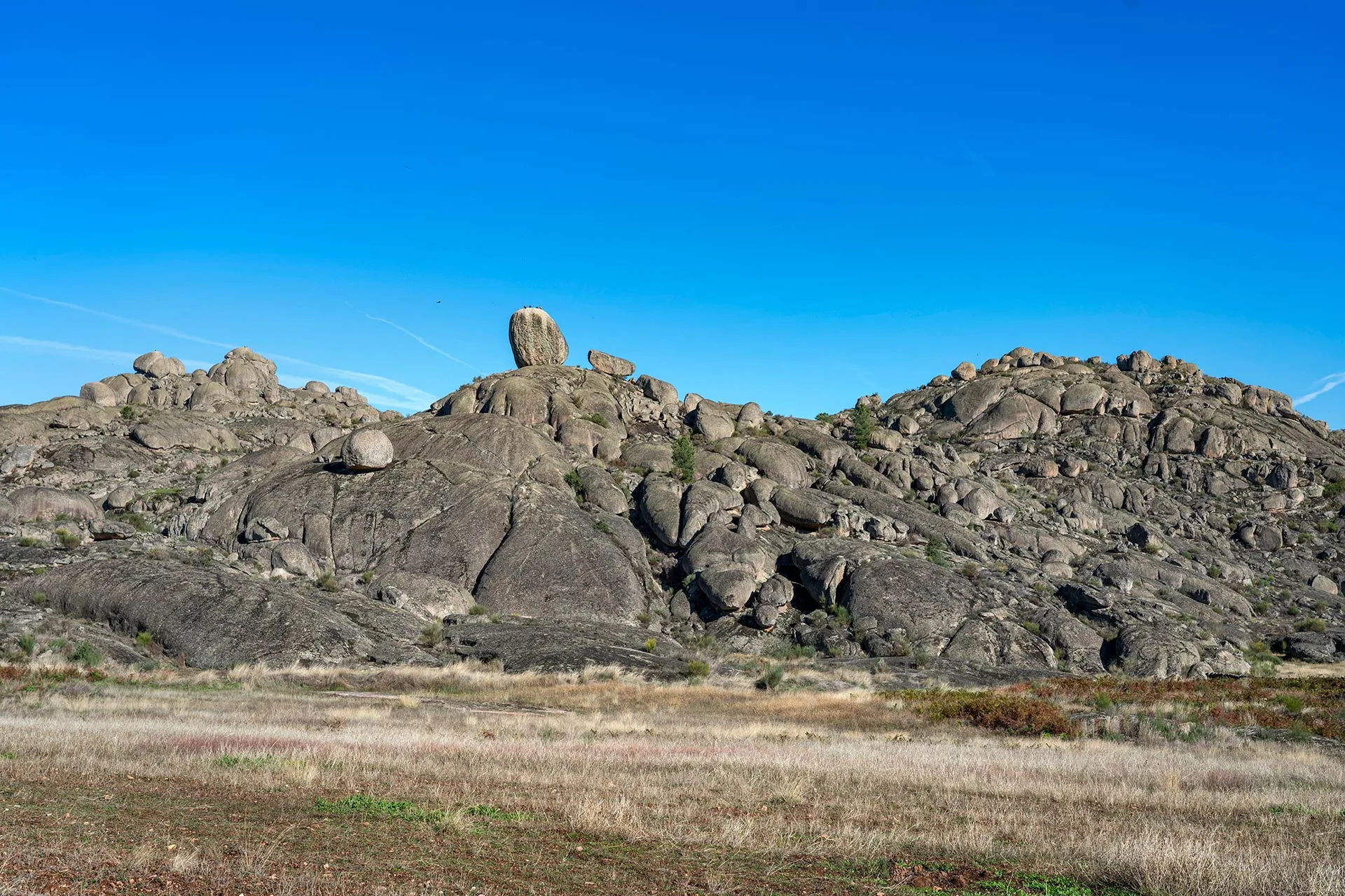 Bolos graníticos del berrocal de La Data entre pastos