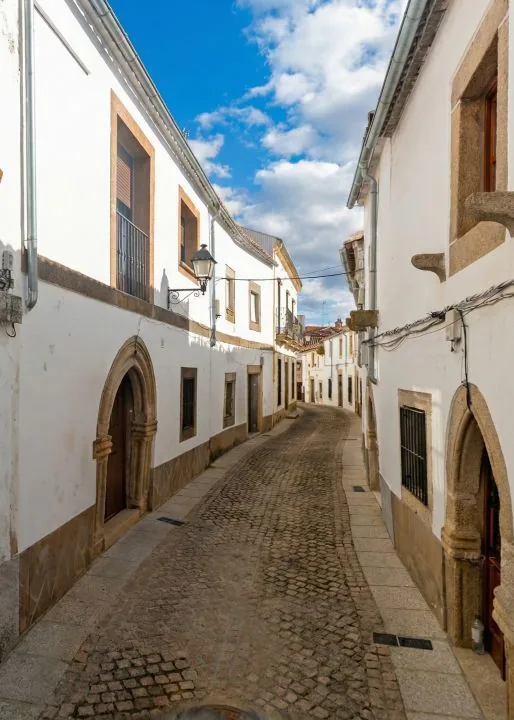 Proyecto Cortizada